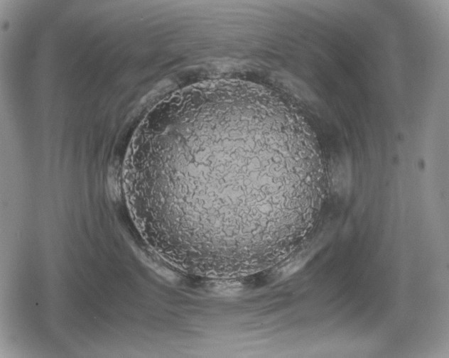 X0000080730719200612151224