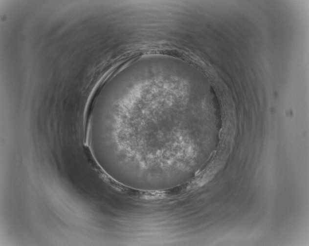 X0000080730720200612151224