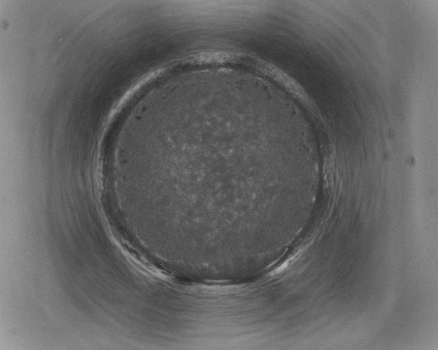 X0000080730722200612151223