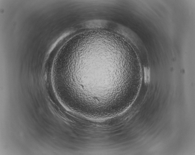 X0000080730723200612151223