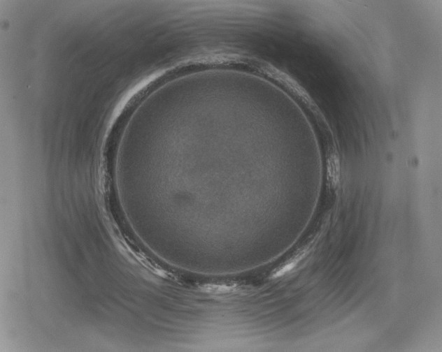 X0000080730724200612151223