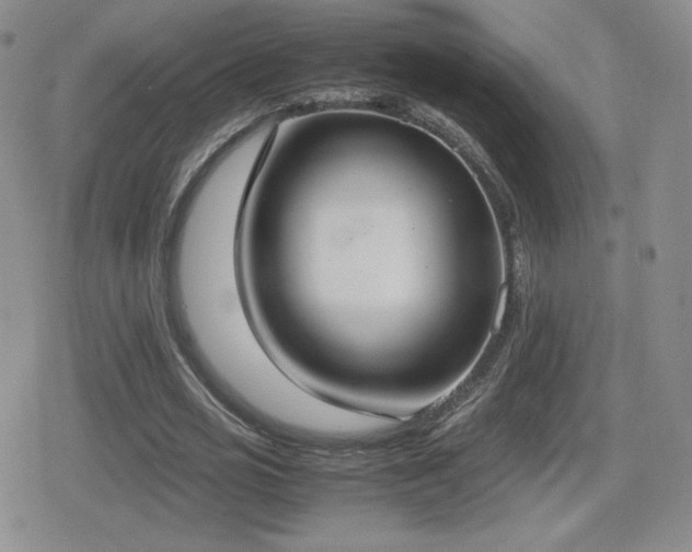 X0000080730725200612151223