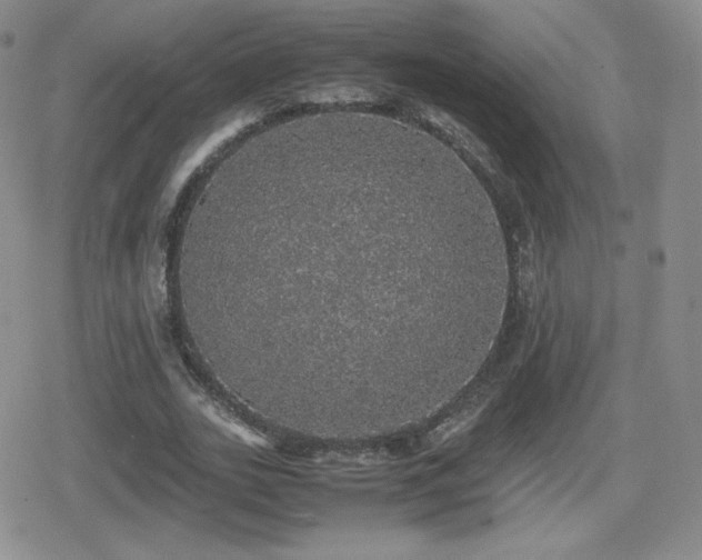 X0000080730727200612151223