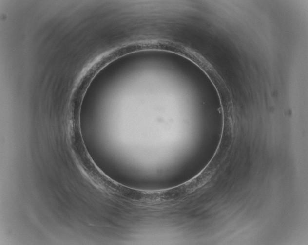 X0000080730728200612151223