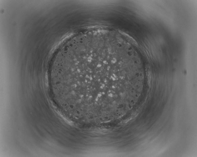 X0000080730729200612151223