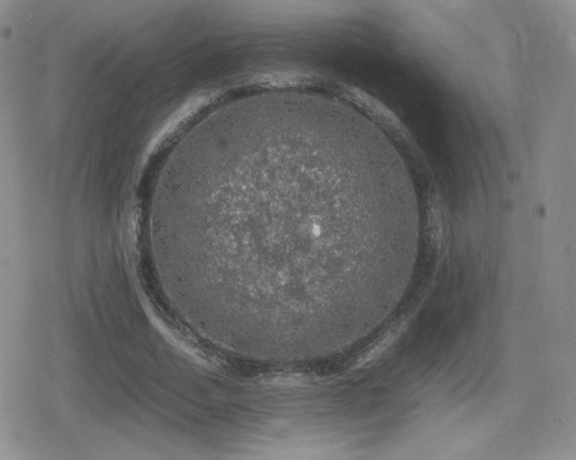 X0000080730730200612151223