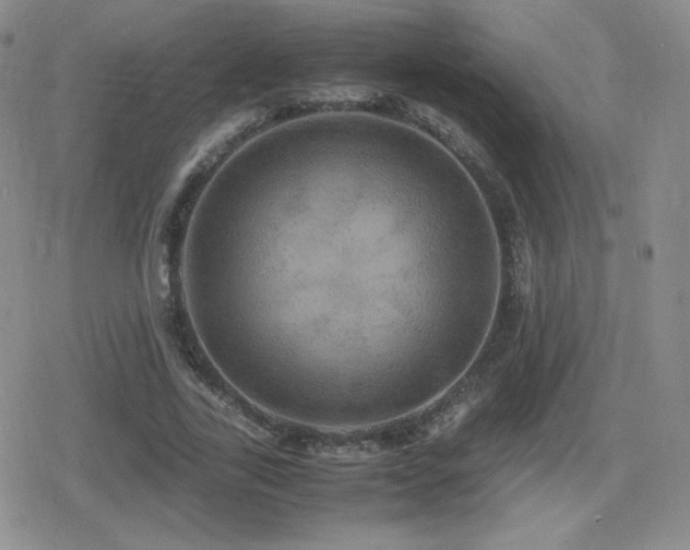 X0000080730731200612151223