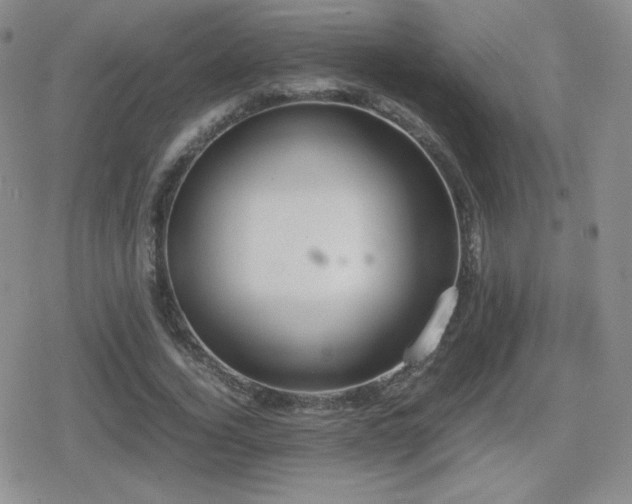 X0000080730732200612151223