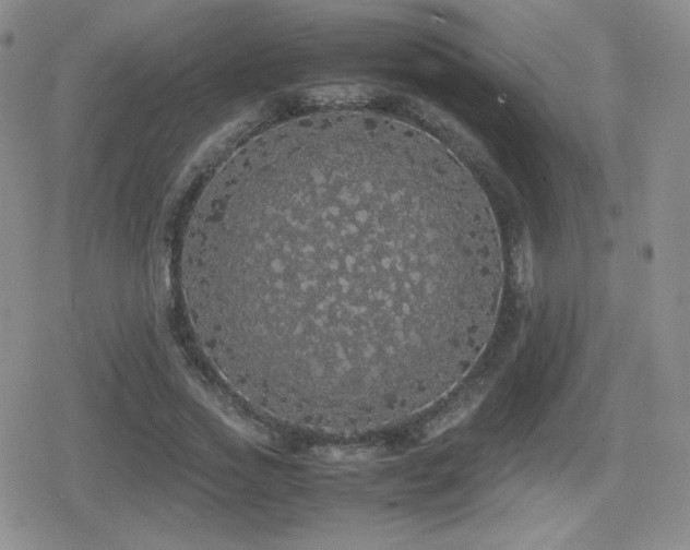 X0000080730733200612151223