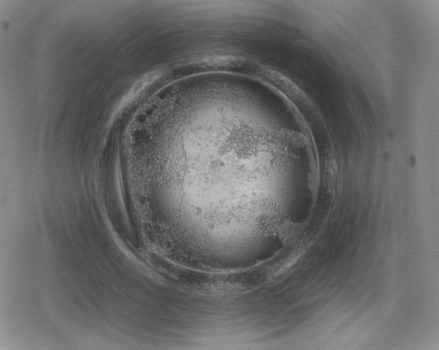 X0000080730734200612151223