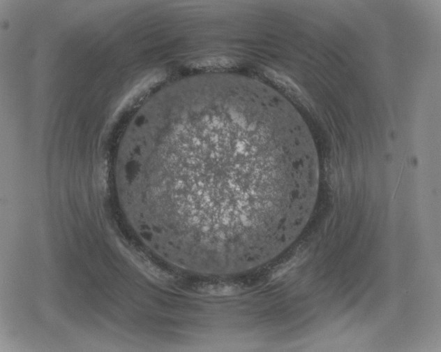 X0000080730735200612151223