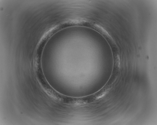 X0000080730736200612151223