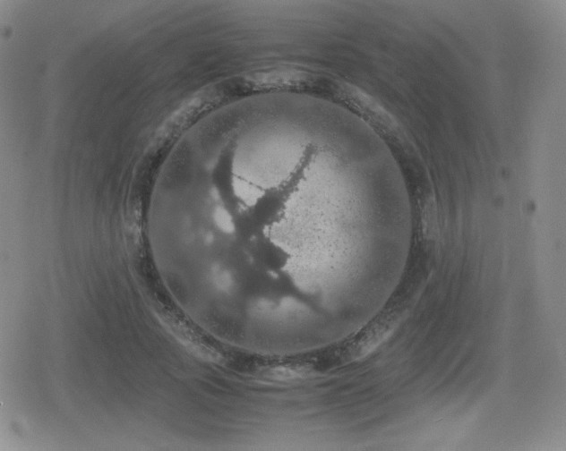 X0000080730737200612151223