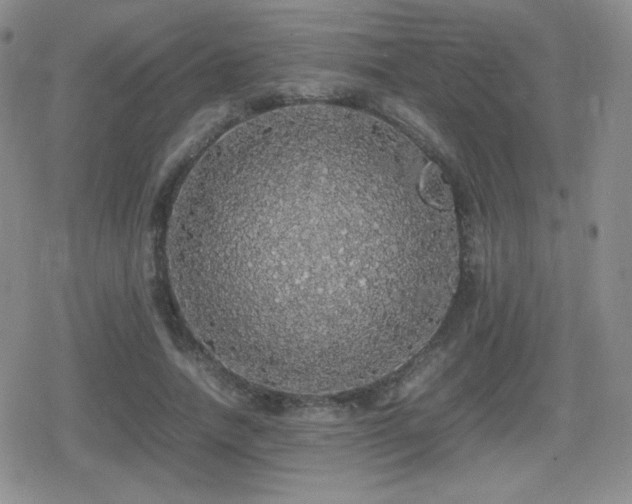 X0000080730738200612151223