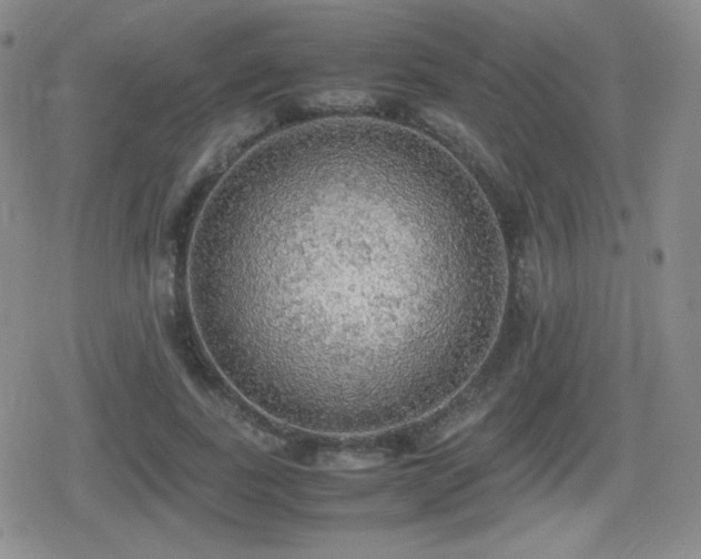 X0000080730739200612151223