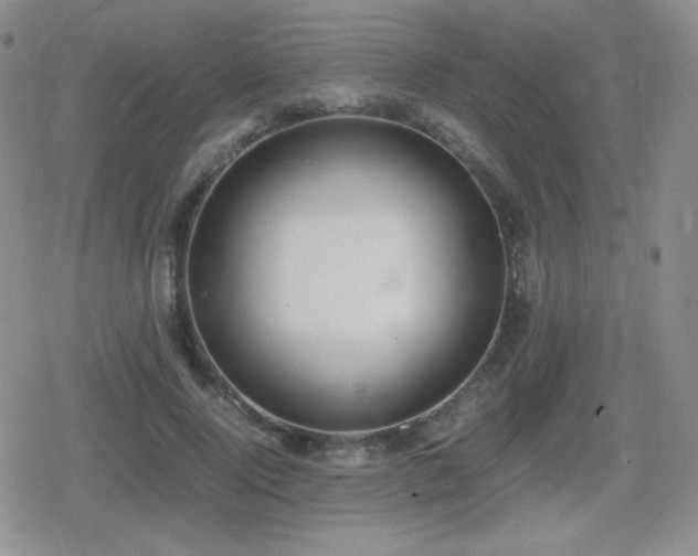 X0000080730740200612151223