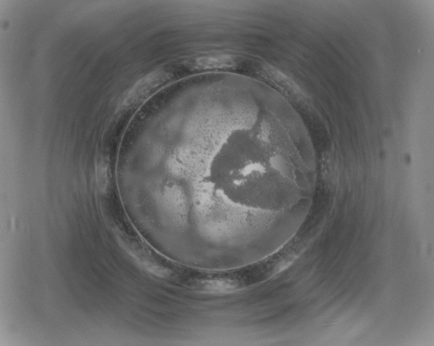 X0000080730741200612151223