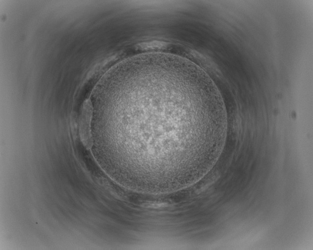 X0000080730743200612151224