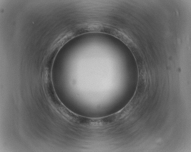 X0000080730744200612151224