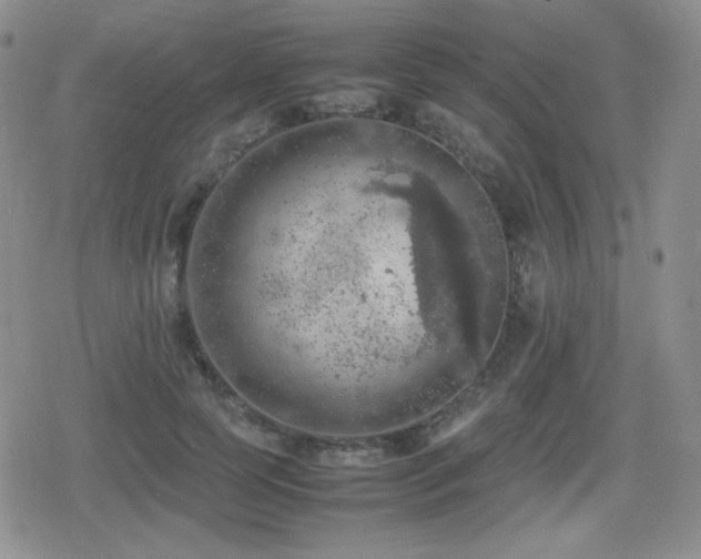 X0000080730745200612151224