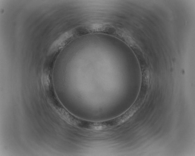 X0000080730746200612151224