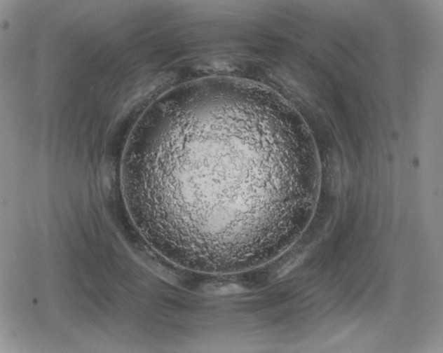 X0000080730747200612151224