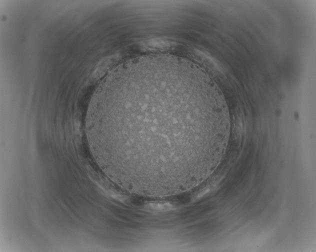 X0000080730749200612151224