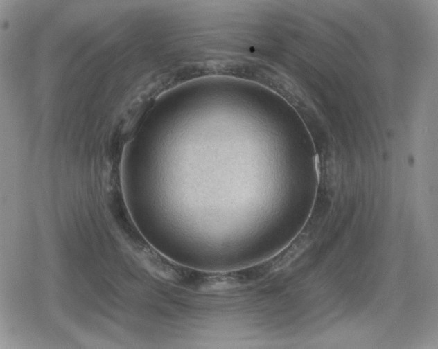 X0000080730750200612151224