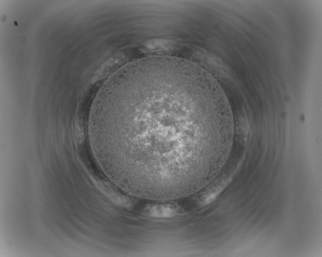 X0000080730751200612151224