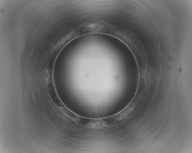 X0000080730752200612151224