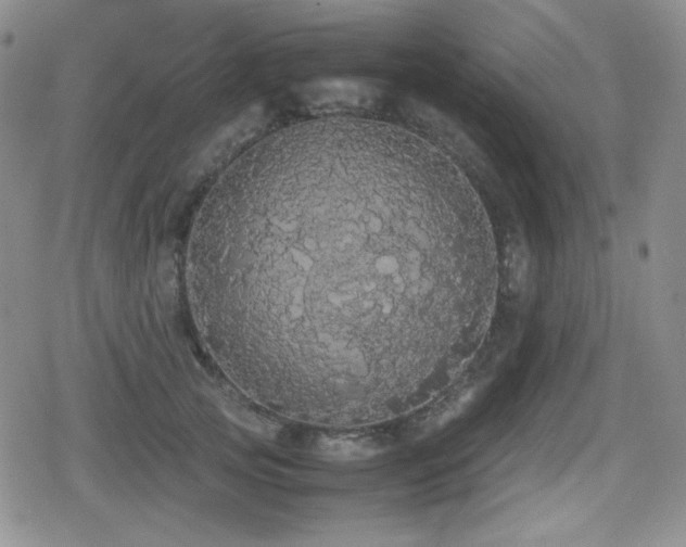 X0000080730753200612151224