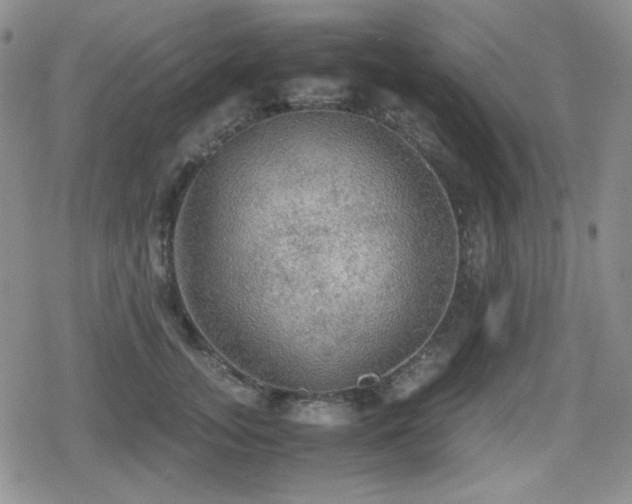 X0000080730755200612151224