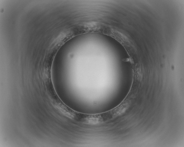 X0000080730756200612151224