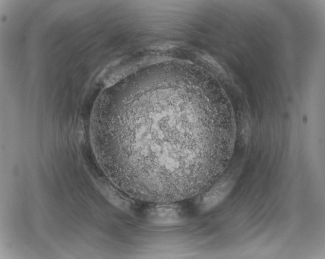 X0000080730758200612151224