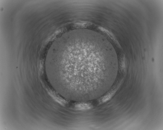 X0000080730759200612151224