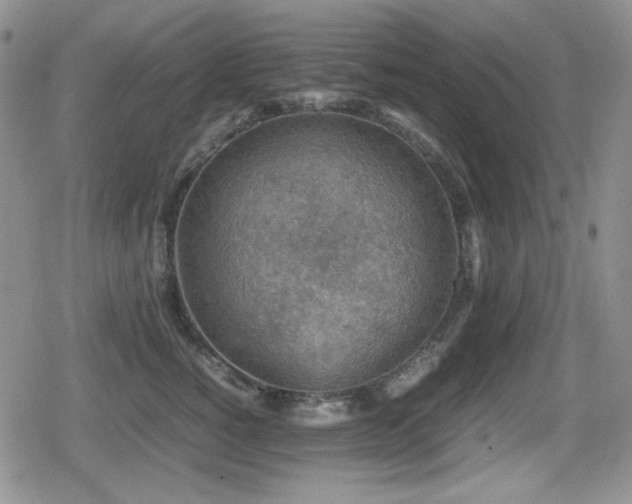 X0000080730760200612151224