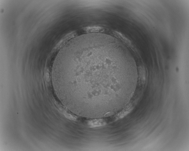 X0000080730761200612151224