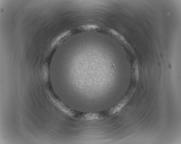 X0000080730762200612151224