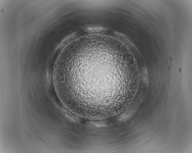 X0000080730763200612151224