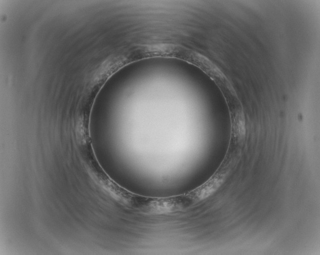 X0000080730764200612151224