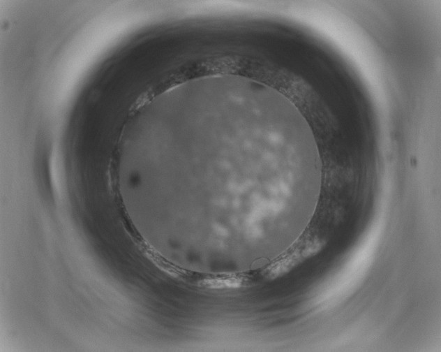 X0000080730765200612151224