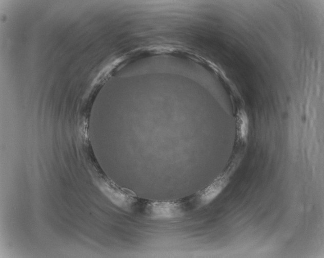 X0000080730766200612151224