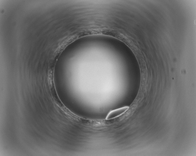 X0000080730768200612151224