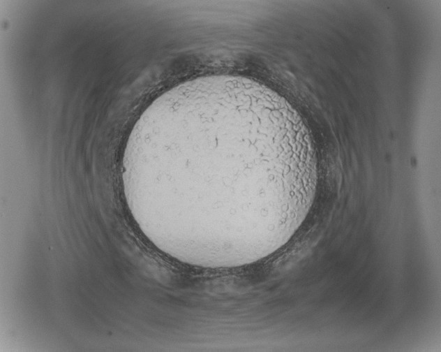 X0000080730769200612151223