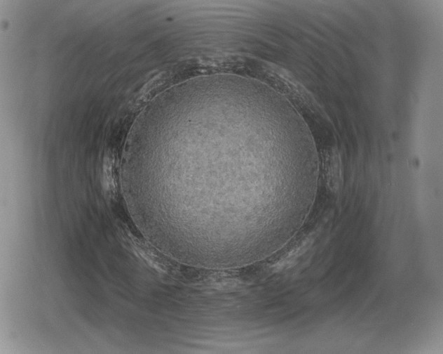 X0000080730770200612151223