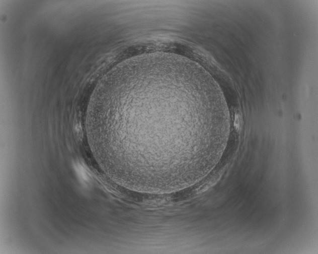 X0000080730771200612151223