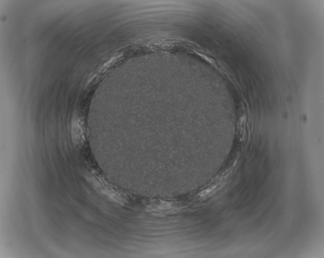 X0000080730772200612151223