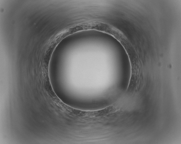 X0000080730773200612151223