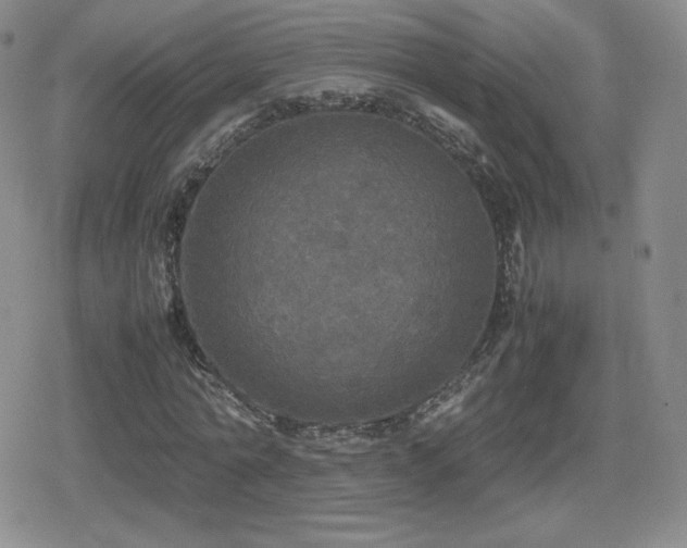 X0000080730774200612151223