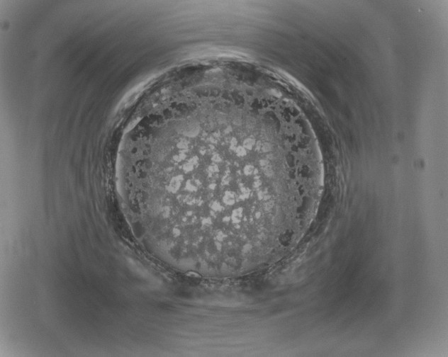 X0000080730775200612151223